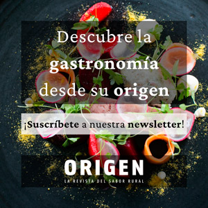 Suscripción a Newsletter