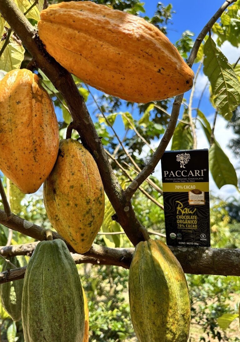 Cacao 2