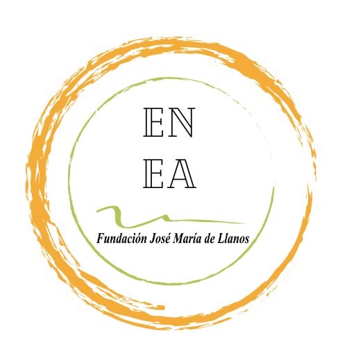 ENEA logo