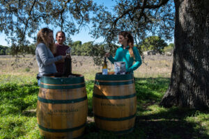 LAS MORADAS DE SAN MARTiN. experiencias de enoturismo en vinedo (FILEminimizer)