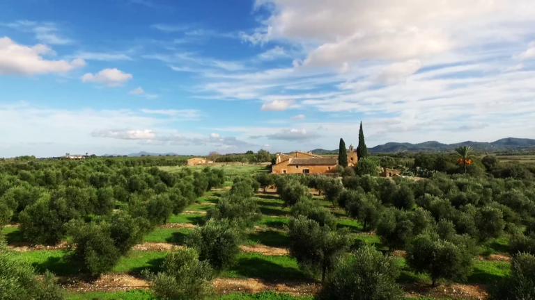 Finca Aubocassa